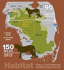 Map of the Florida panther habitat.